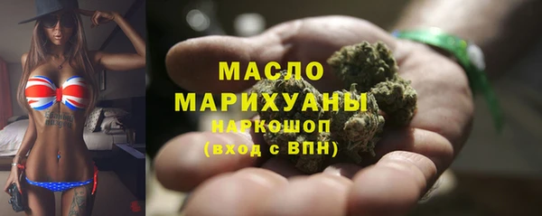 молекула духа Кулебаки