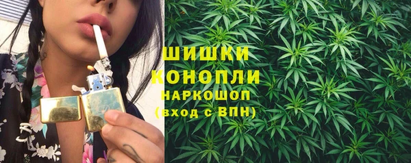 прущие грибы Краснослободск