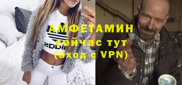 молекула духа Кулебаки