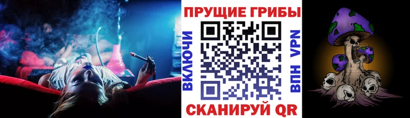 блэк спрут онион  Братск  Галлюциногенные грибы Magic Shrooms 