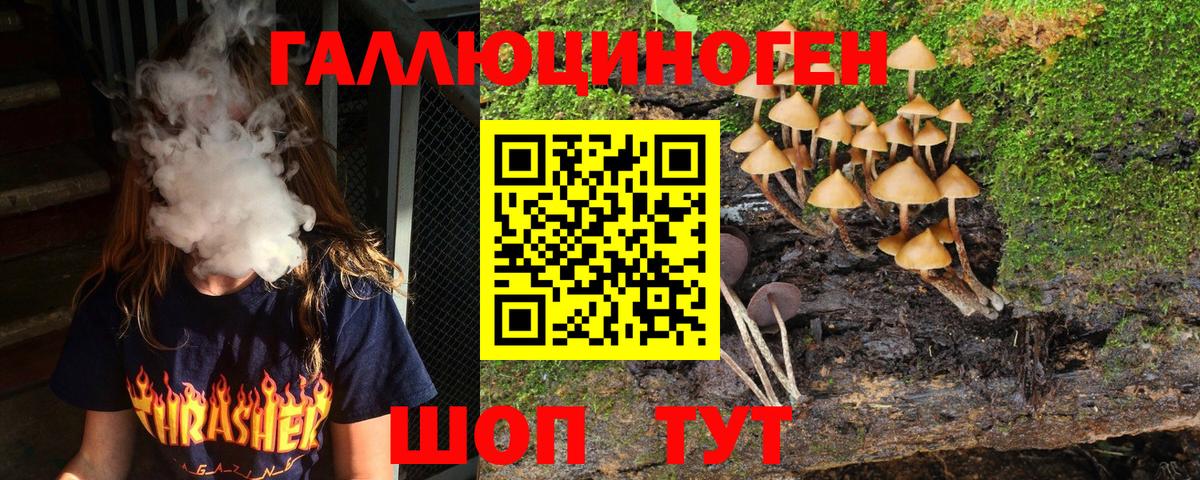 Братск  Галлюциногенные грибы Cubensis  Вход с VPN  Галлюциногенные грибы Psilocybe 